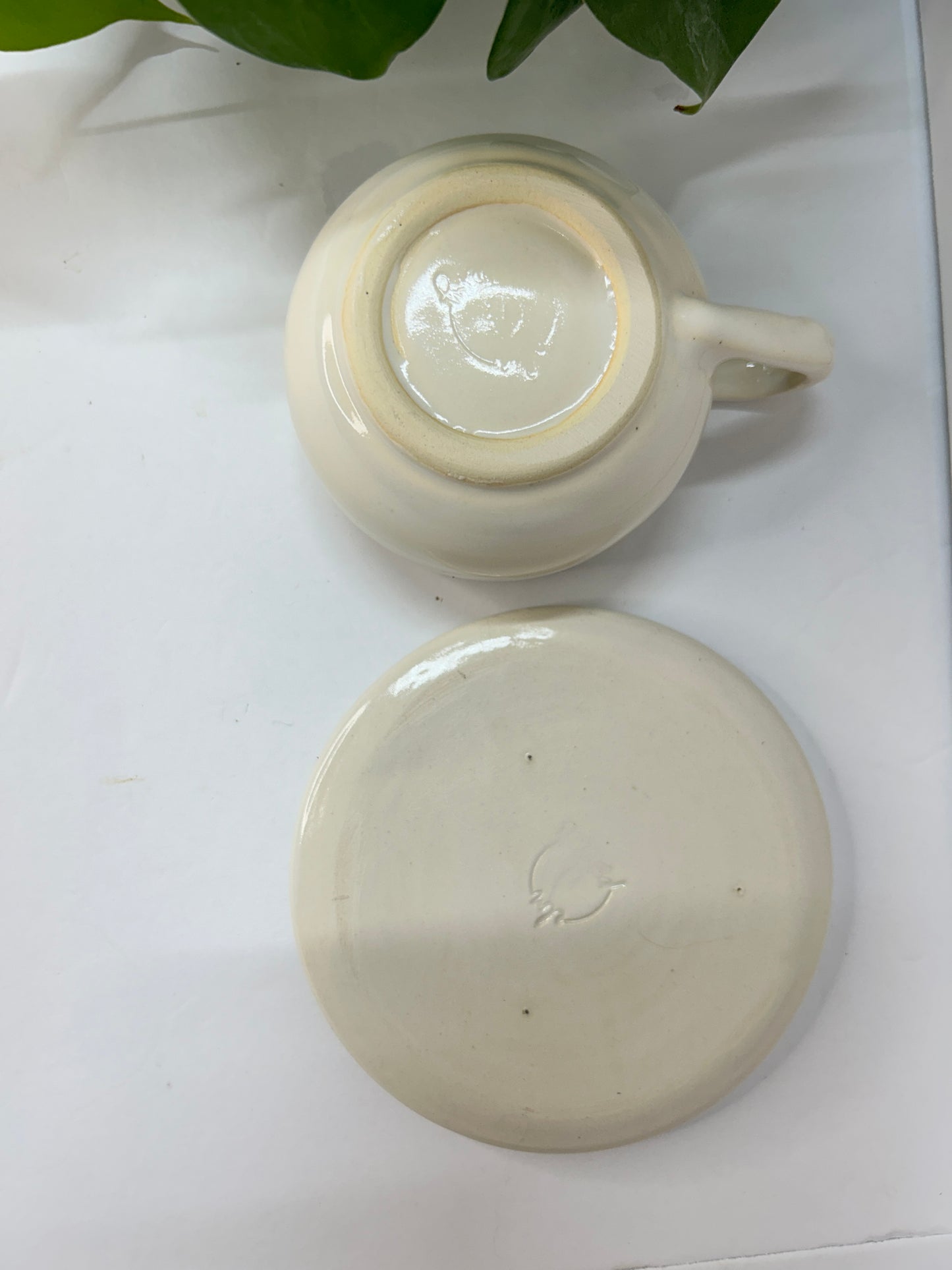 Tea Cup & Saucer Set