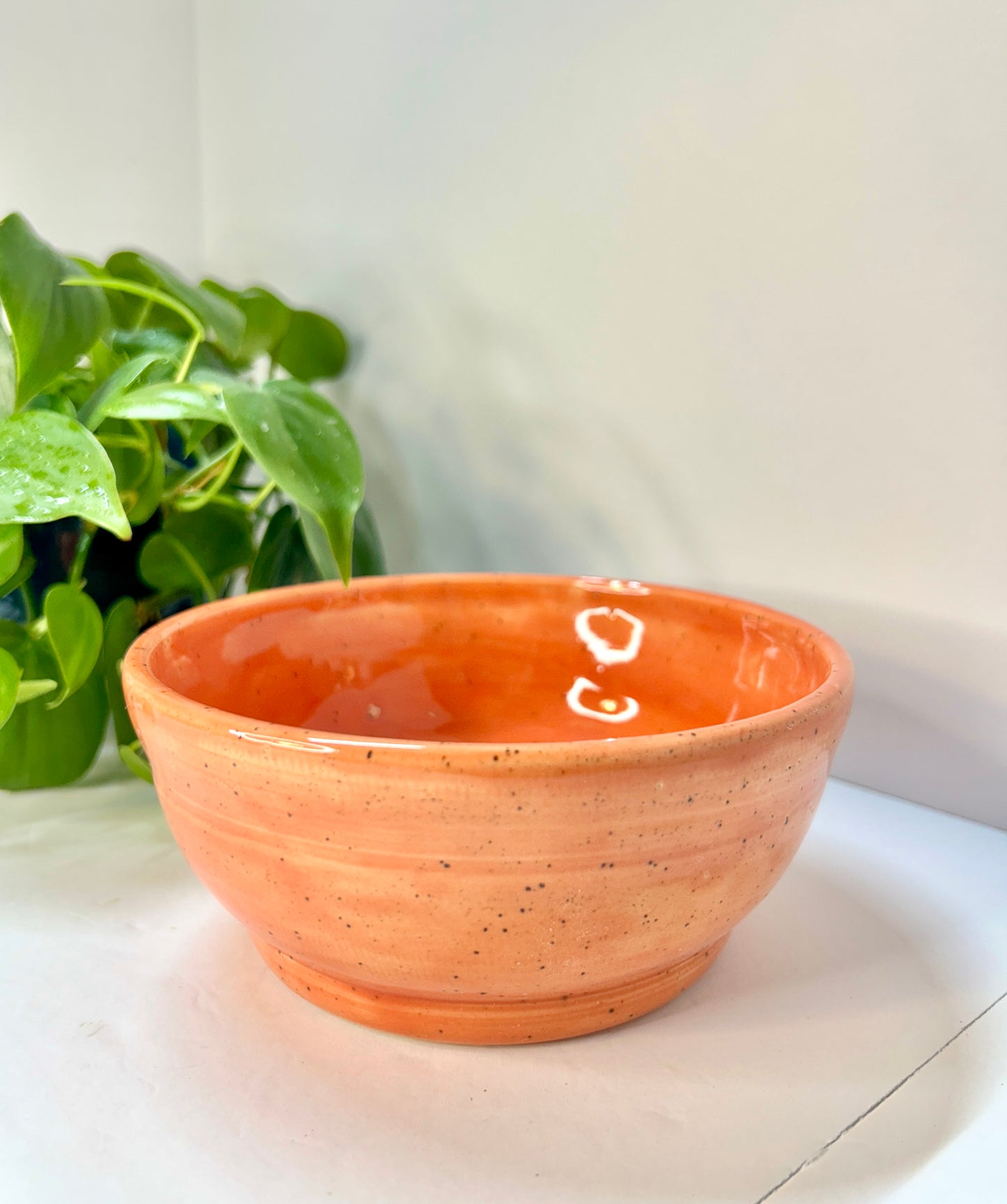 Cereal/Soup Bowls