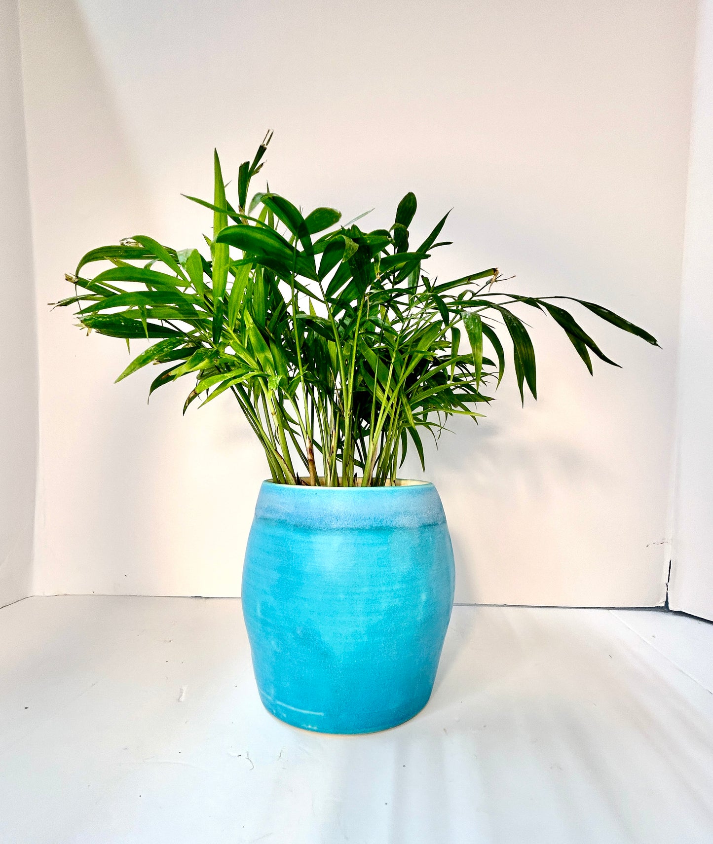 Planter Vases