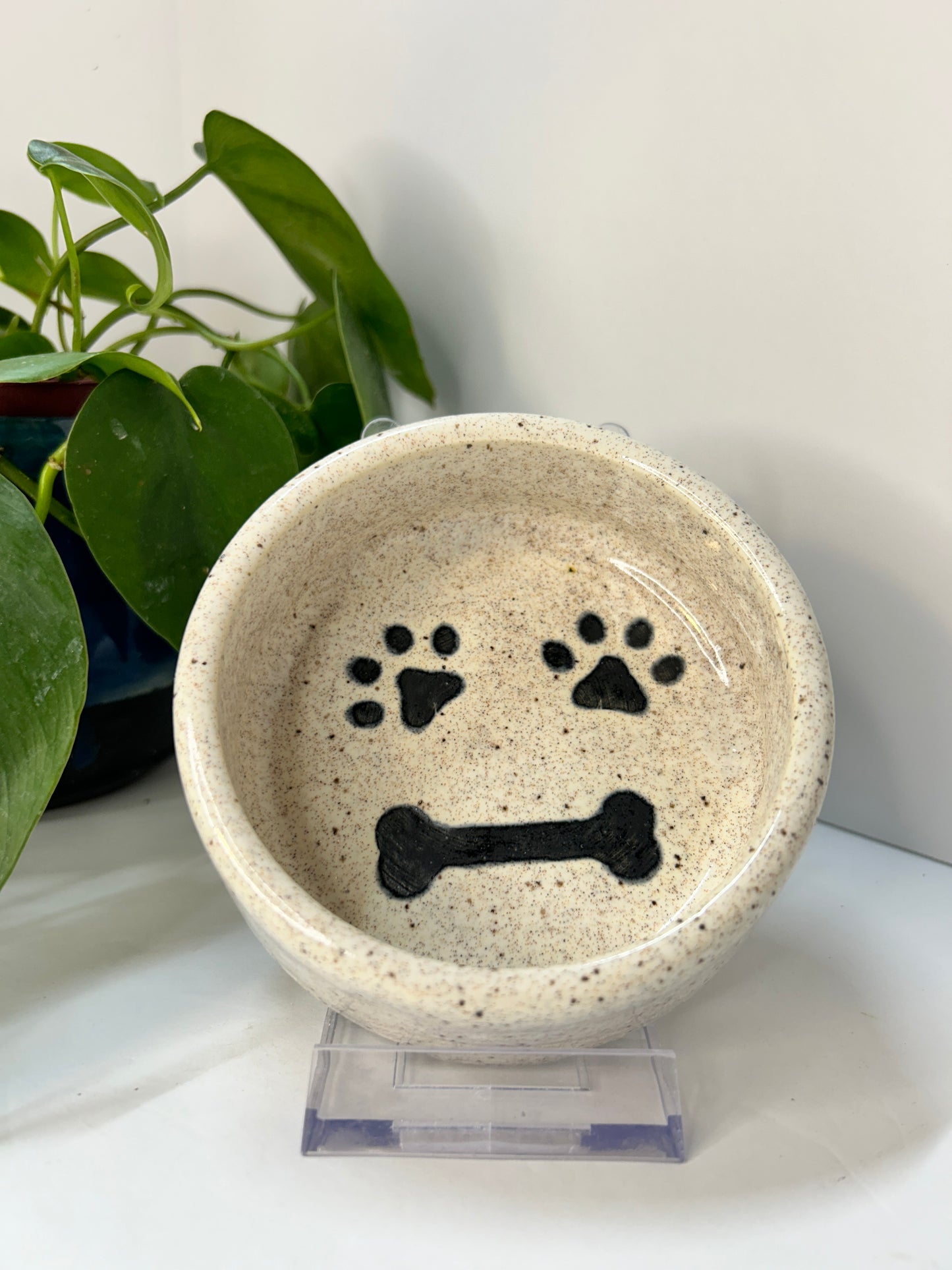 Pet Bowls