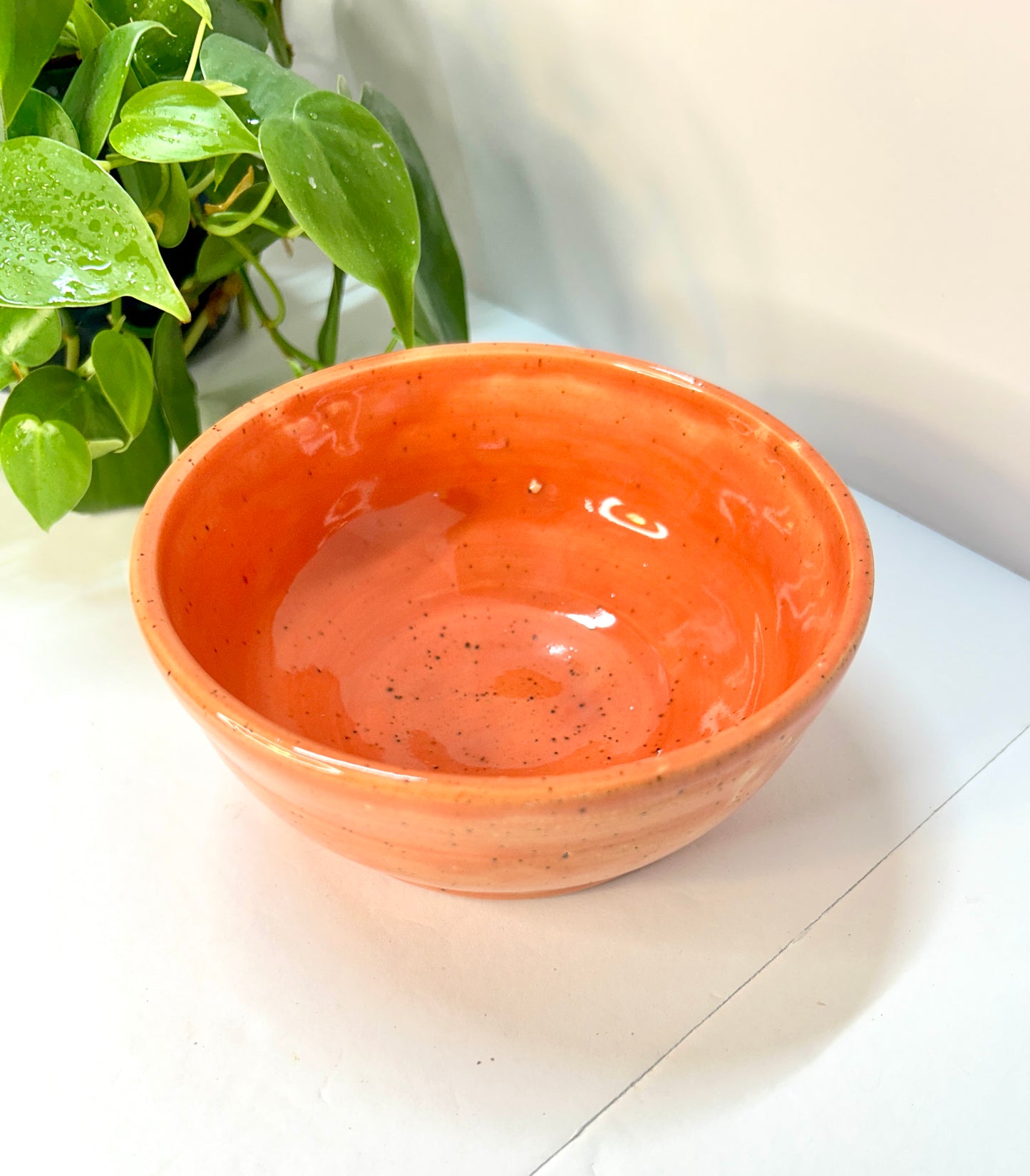 Cereal/Soup Bowls