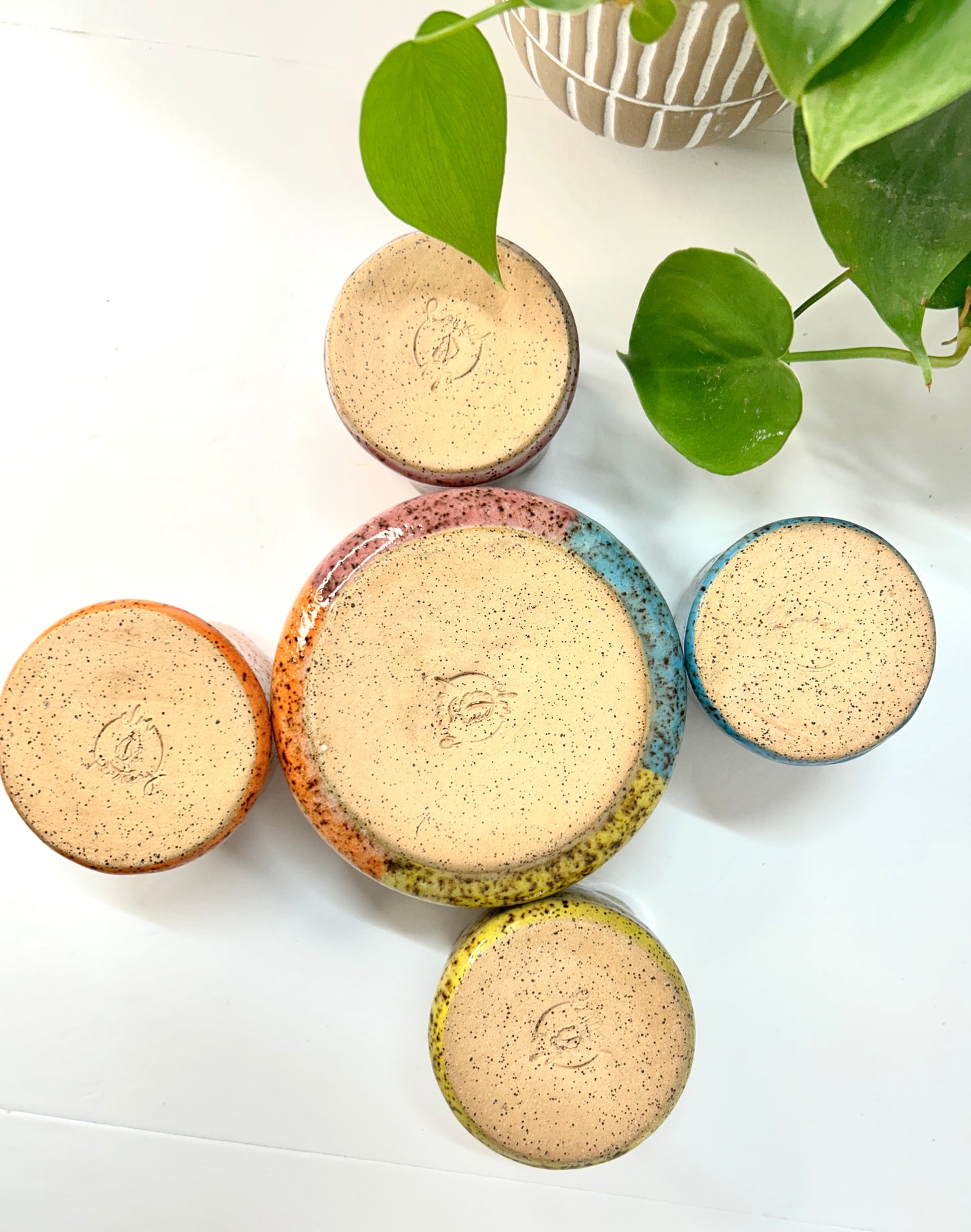 Rainbow Flower Bowl & Cups