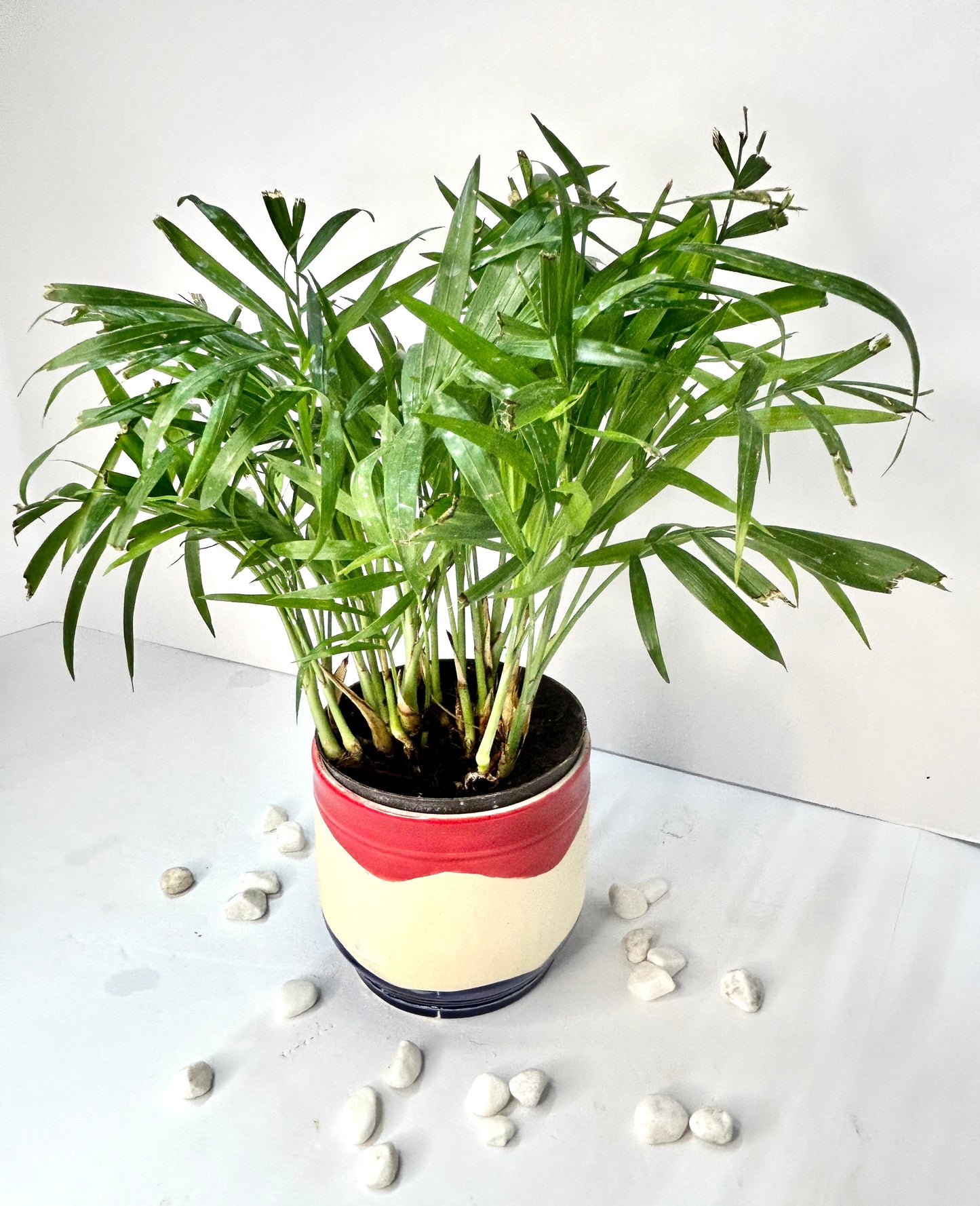 Small Planters