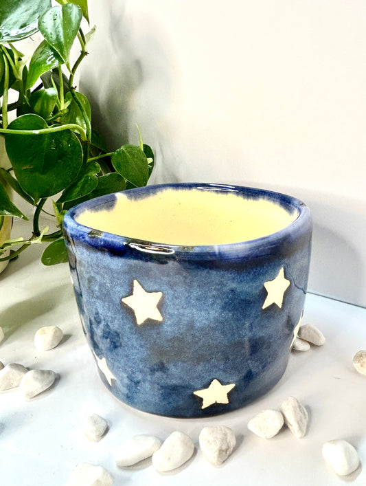 Blue Stars Planter