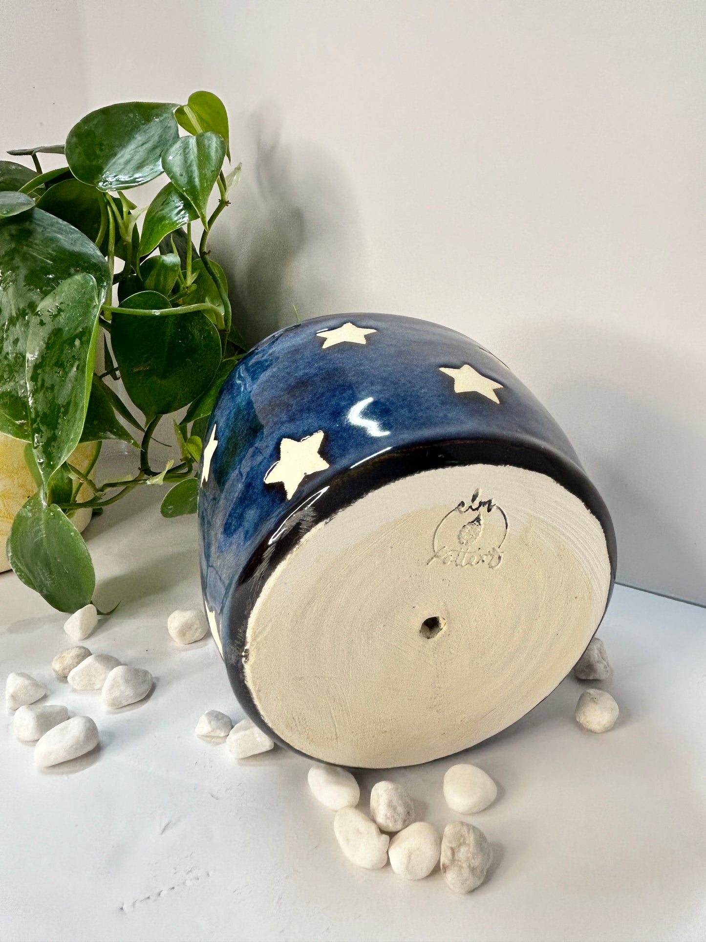 Blue Stars Planter