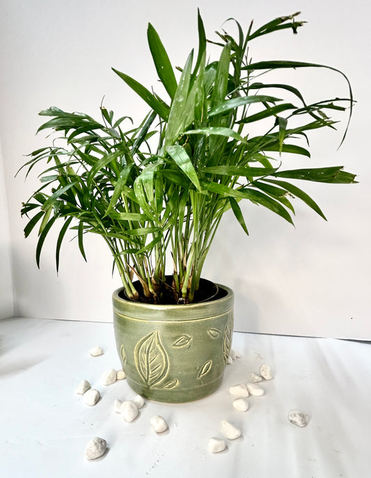 Green Carved Leaf Planter