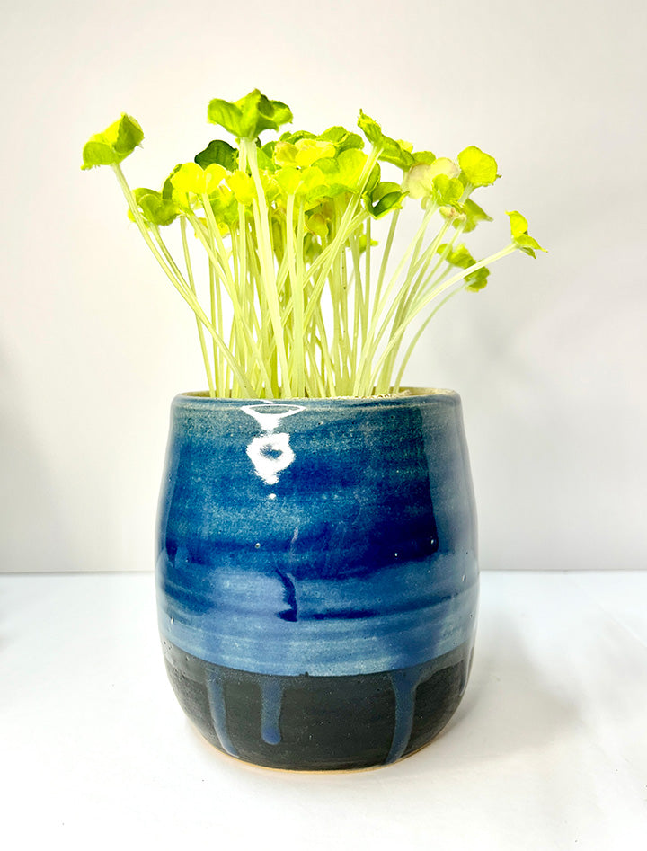 Blue Drip Planter