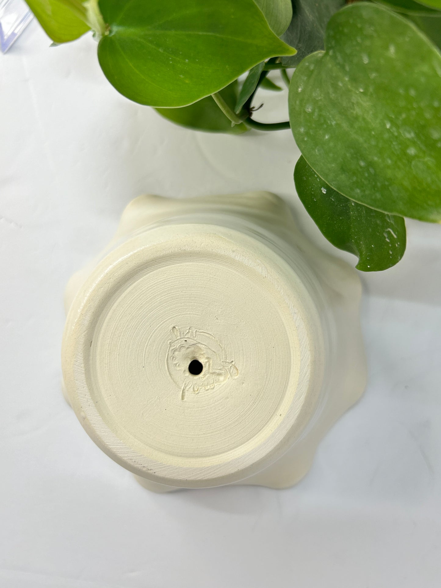 Honeybee Wavy Planter